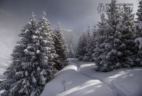 image_560701151357331858620